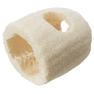 Cubóide de esponja natural creme com dois orifícios em fundo branco