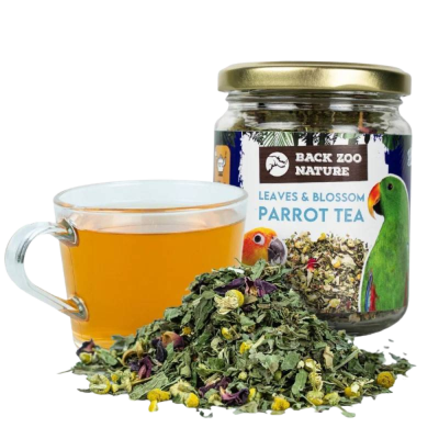 Frasco de chá para papagaios com folhas secas e chá numa chávena de vidro