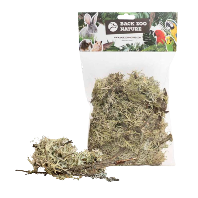 Pacote de musgo seco para animais de estimação BACK ZOO NATURE