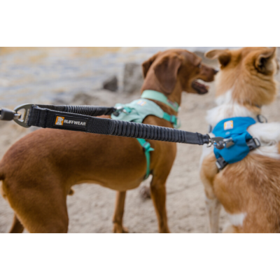 Cães com peitorais e trela RUFFWEAR preta na areia perto de pedras