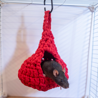 Ninho suspenso vermelho com rato preto dentro de gaiola branca