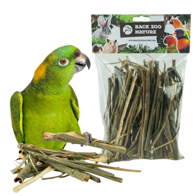 Pacote de ramos secos da Back Zoo Nature e papagaio verde ao lado
