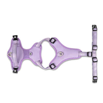 Peitoral para cão lilás com fechos pretos e argolas metálicas