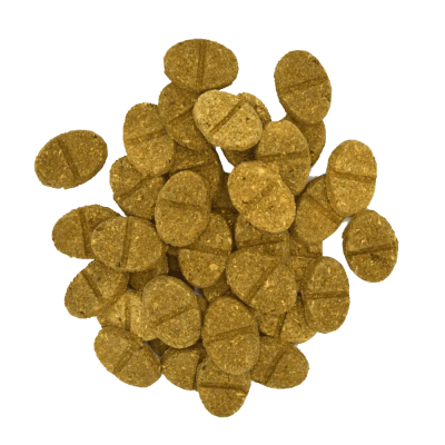 Comprimidos castanho-amarelados ovais com sulco