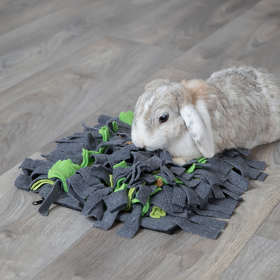 Coelho junto a tapete de atividades cinzento e verde no chão de madeira