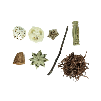 Elementos naturais variados para decoração sobre fundo branco