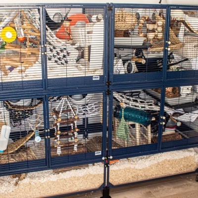 Gaiola grande para pequenos animais com acessórios