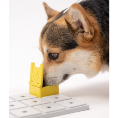 Cão a cheirar tabuleiro interativo branco com peça amarela para petiscos