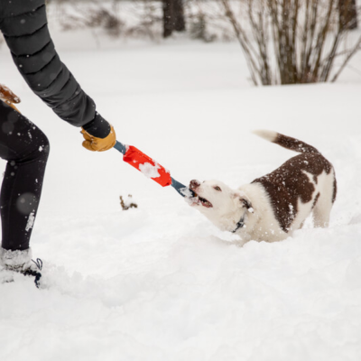 Brinquedo para cães tug vermelho e azul com pessoa e cão na neve