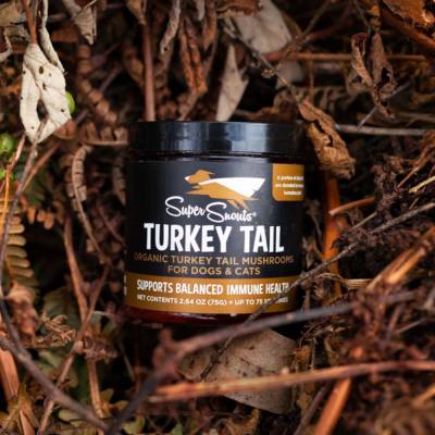 Frasco preto do suplemento Super Snouts TURKEY TAIL sobre folhas secas.