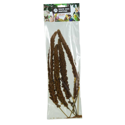 Pacote de ramos de millet castanhos para animais com etiqueta colorida da marca Back Zoo Nature
