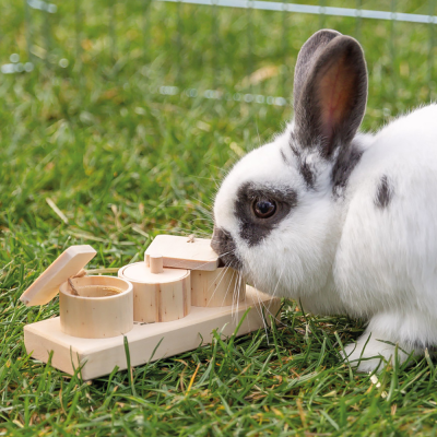 Coelho junto a brinquedo interativo de madeira sobre relva
