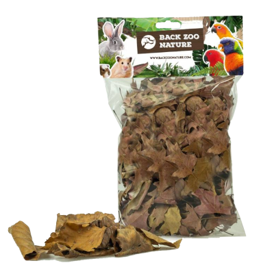 Embalagem transparente com folhas secas e etiqueta com animais e texto BACK ZOO NATURE