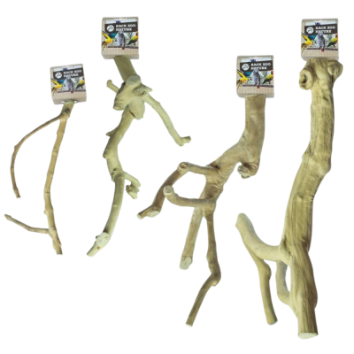 Quatro ramos naturais para animais com etiquetas BACK ZOO NATURE