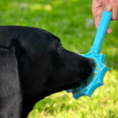 Escova azul para dentes de cão com cerdas flexíveis perto de cão preto no exterior
