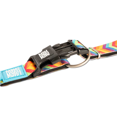 Coleira colorida para animal de estimação com fivela preta e argola metálica.