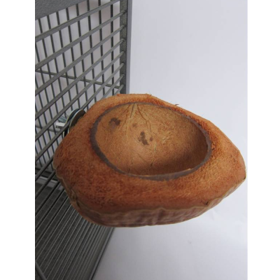 Recipiente de casca de coco pendurado numa estrutura metálica cinzenta