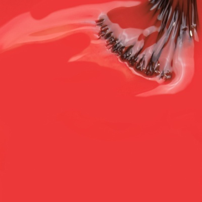 Fundo vermelho com objeto brilhante castanho escuro e preto no canto superior direito