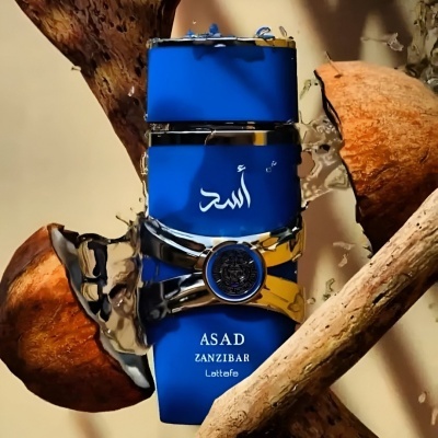 Perfume azul ASAD ZANZIBAR Lattafe em galhos e noz