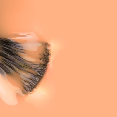 Pincel de maquilhagem com cerdas pretas e cabo transparente