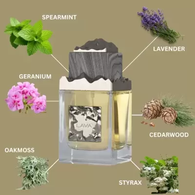 Frasco de perfume LAVA com tampa de madeira e imagens de plantas aromáticas ao redor