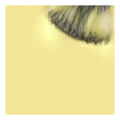 Ramo de flores amarelas com pontas roxas sobre fundo amarelo claro