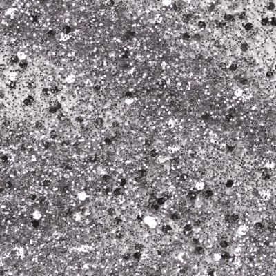 Textura de glitter prateado brilhante