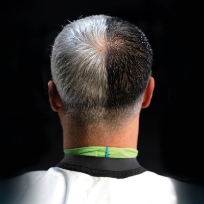 Parte de trás da cabeça de um homem com cabelo metade grisalho e metade castanho escuro