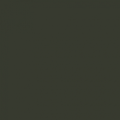 Camiseta verde escuro lisa em fundo branco