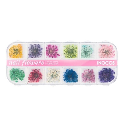 Caixa com flores secas coloridas para decoração de unhas