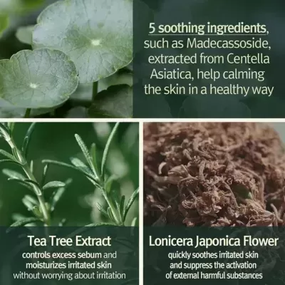 Folhas verdes e secas de plantas com texto sobre ingredientes calmantes para a pele