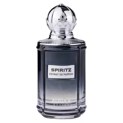 Frasco de perfume cinza escuro com tampa prateada e rótulo com texto SPIRITZ EXTRAIT DE PARFUM