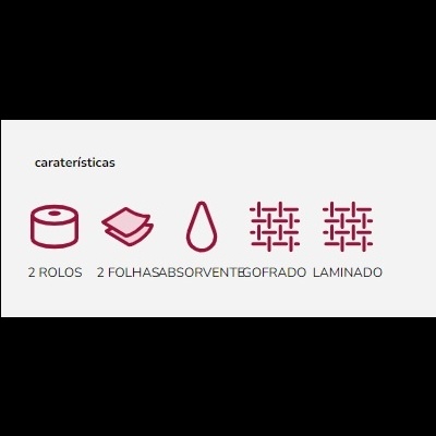 Ícones e texto descrevendo características do produto em vinho sobre fundo branco