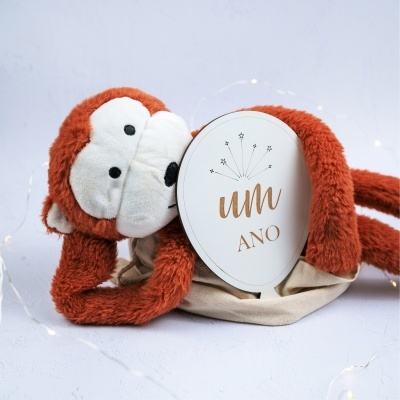 Peluche de macaco castanho com placa branca a dizer um ANO.