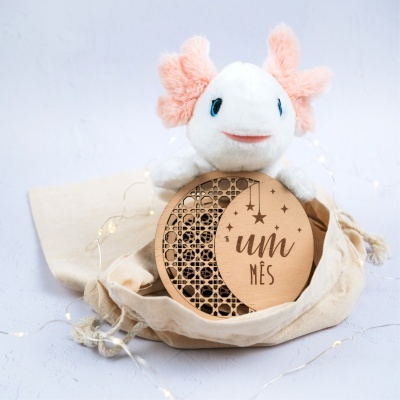 Boneco de peluche com placa de madeira um mês dentro de saco de algodão cru e luzes LED