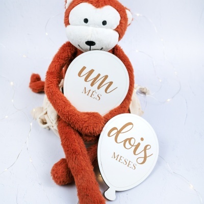 Macaco de peluche castanho-avermelhado segurando placa com texto um MÊS e outra placa ao lado com texto dois MESES