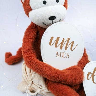 Peluche de macaco castanho-avermelhado com rosto branco segurando círculo com texto um MÊS