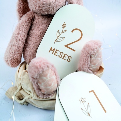Ursinho de peluche rosa segurando placas com texto 2 MESES e 1