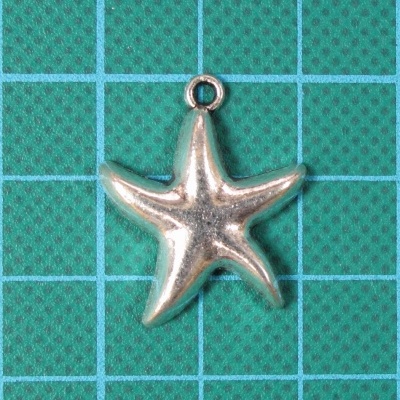 Pendente estrela do mar em metal prateado sobre fundo verde quadriculado