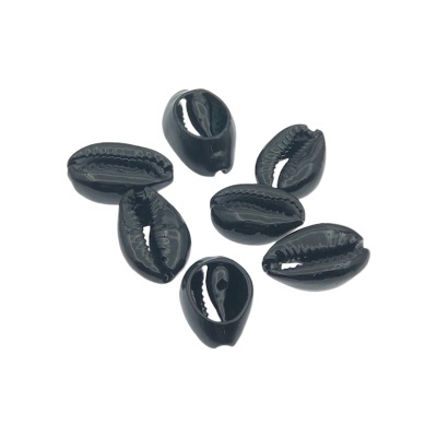 Seis búzios pretos brilhantes com fenda central sobre fundo branco