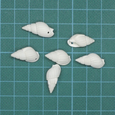 Seis contas em forma de concha marinha brancas sobre superfície com quadrícula azul