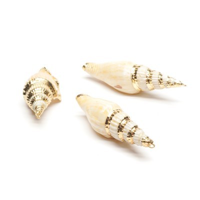 Conchas marinhas decorativas em branco e dourado