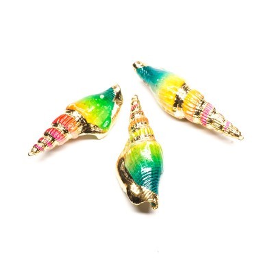 Três conchas decorativas coloridas em fundo branco