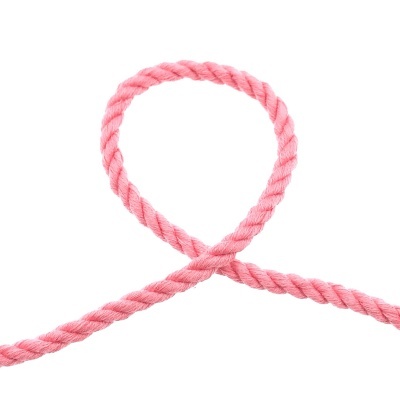 Corda rosa torcida em fundo branco