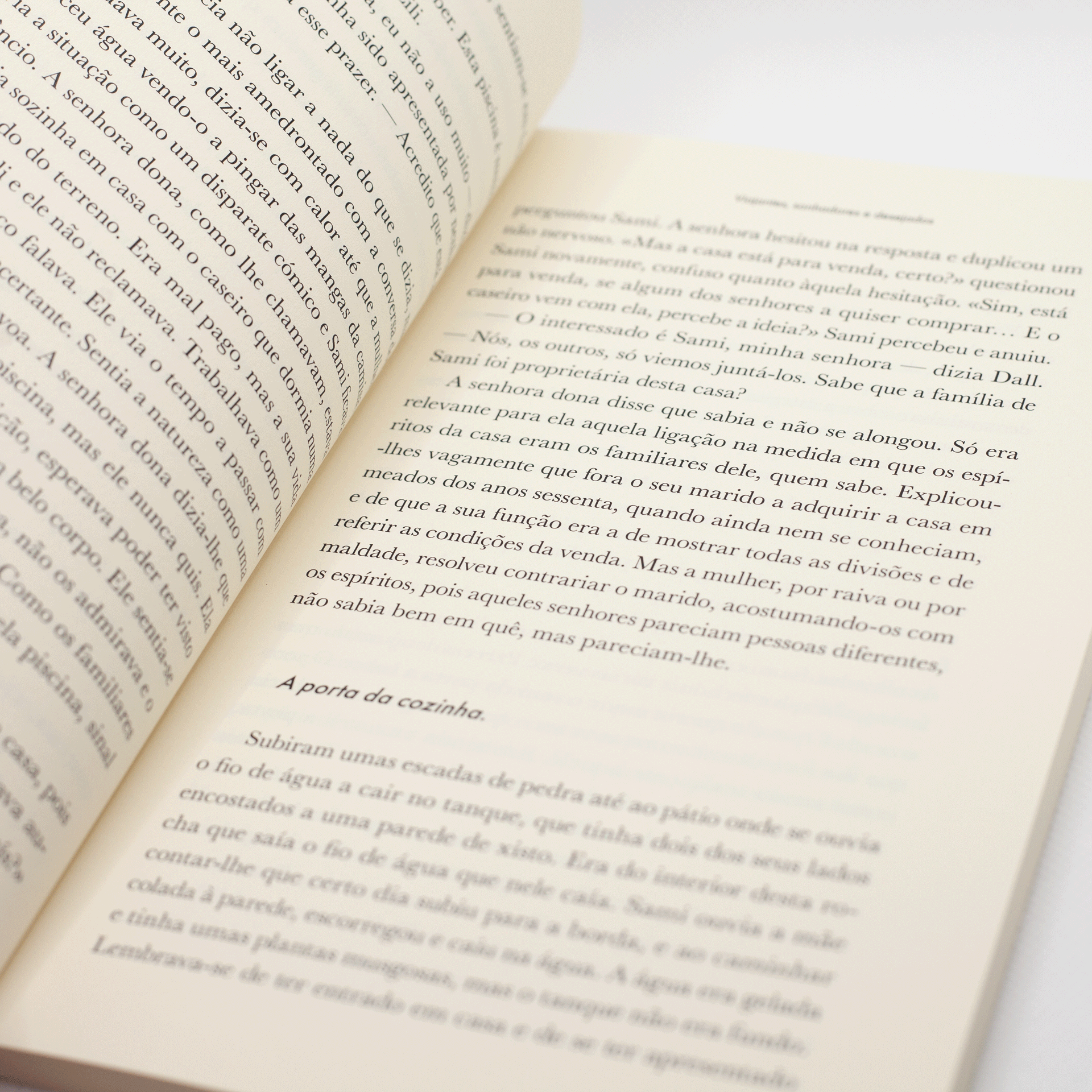 Os Sensíveis – Viajantes, sonhadores e desejados Livro aberto com texto impresso em português