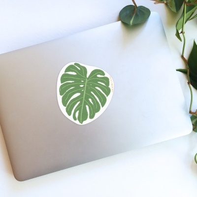 Computador portátil prateado com autocolante de folha Monstera e plantas verdes ao lado