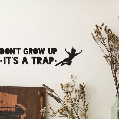 adesivo de parede com citação e fada em parede branca com vasos e quadro