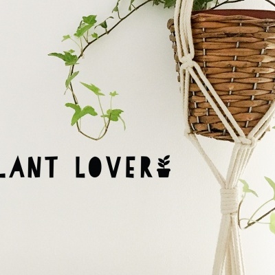 Vaso suspenso em macramé branco com planta trepadeira verde e texto 'PLANT LOVER' na parede branca
