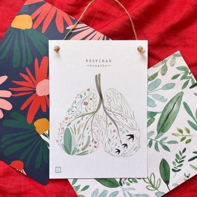 Três postais com desenhos de plantas e texto 'ASSISPAR apicultura' sobre tecido vermelho