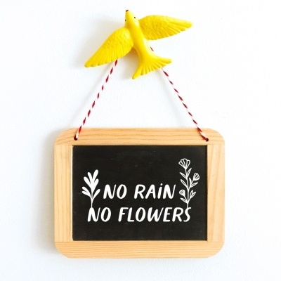 Pequeno quadro de ardósia com moldura de madeira e texto NO RAIN NO FLOWERS